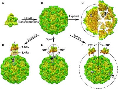 StructureMan: A Structure Manipulation Tool to Study Large Scale Biomolecular Interactions